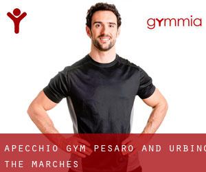 Apecchio gym (Pesaro and Urbino, The Marches)