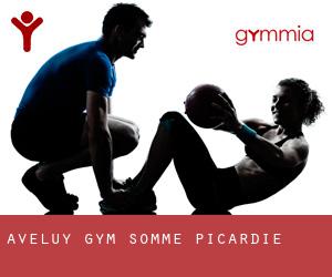 Aveluy gym (Somme, Picardie)