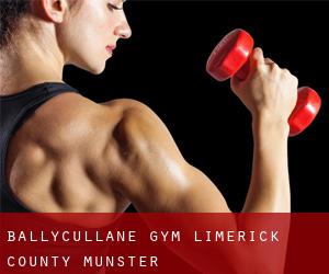 Ballycullane gym (Limerick County, Munster)