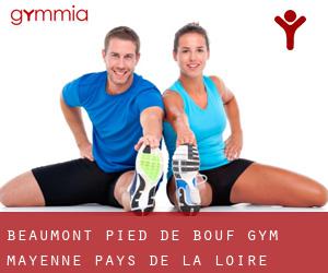 Beaumont-Pied-de-Bœuf gym (Mayenne, Pays de la Loire)