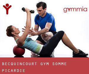 Becquincourt gym (Somme, Picardie)