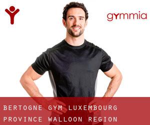 Bertogne gym (Luxembourg Province, Walloon Region)