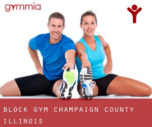 Block gym (Champaign County, Illinois)