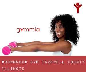 Brownwood gym (Tazewell County, Illinois)