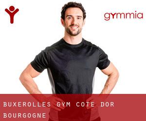 Buxerolles gym (Cote d'Or, Bourgogne)