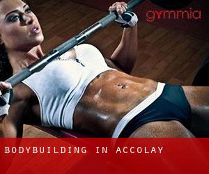 BodyBuilding in Accolay