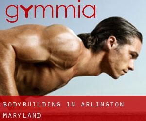 BodyBuilding in Arlington (Maryland)