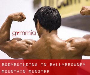 BodyBuilding in Ballybrowney Mountain (Munster)