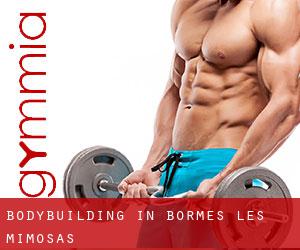 BodyBuilding in Bormes-les-Mimosas