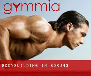 BodyBuilding in Borung