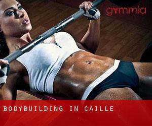 BodyBuilding in Caille