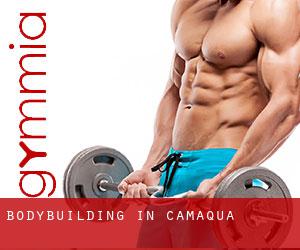 BodyBuilding in Camaquã