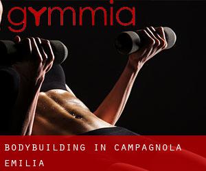 BodyBuilding in Campagnola Emilia