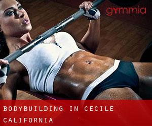 BodyBuilding in Cecile (California)