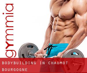 BodyBuilding in Chaumot (Bourgogne)