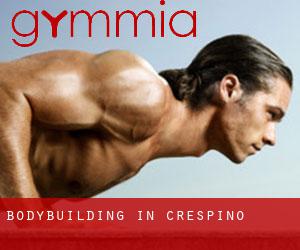 BodyBuilding in Crespino