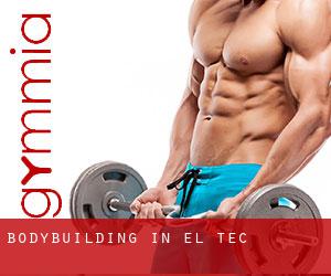 BodyBuilding in el Tec