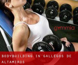 BodyBuilding in Gallegos de Altamiros