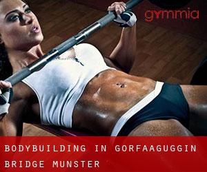 BodyBuilding in Gorfaaguggin Bridge (Munster)