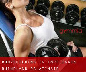 BodyBuilding in Impflingen (Rhineland-Palatinate)