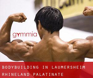 BodyBuilding in Laumersheim (Rhineland-Palatinate)