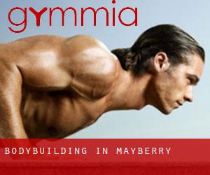 BodyBuilding in Mayberry