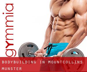 BodyBuilding in Mountcollins (Munster)