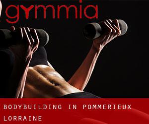 BodyBuilding in Pommérieux (Lorraine)