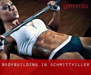 BodyBuilding in Schmittviller