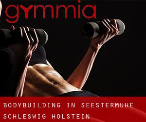 BodyBuilding in Seestermühe (Schleswig-Holstein)