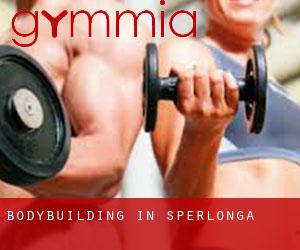 BodyBuilding in Sperlonga