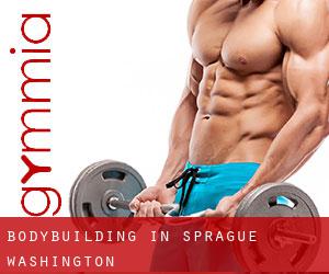 BodyBuilding in Sprague (Washington)