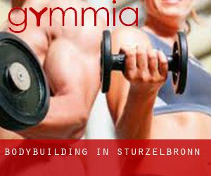 BodyBuilding in Sturzelbronn