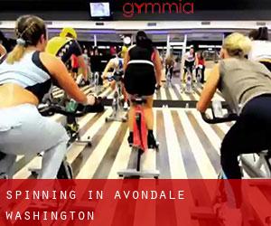 Spinning in Avondale (Washington)