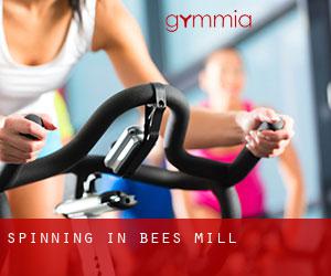 Spinning in Bees Mill