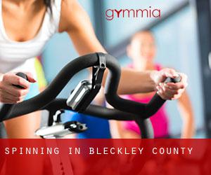 Spinning in Bleckley County