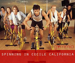 Spinning in Cecile (California)