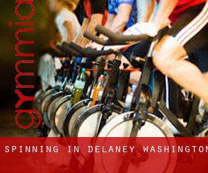 Spinning in Delaney (Washington)