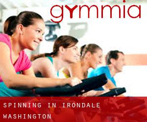 Spinning in Irondale (Washington)