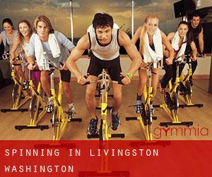 Spinning in Livingston (Washington)