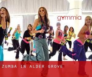 Zumba in Alder Grove