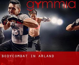 BodyCombat in Arland