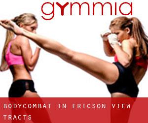 BodyCombat in Ericson View Tracts