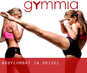 BodyCombat in Grisel