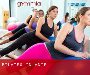 Pilates in Anif