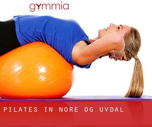 Pilates in Nore og Uvdal