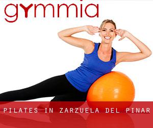 Pilates in Zarzuela del Pinar