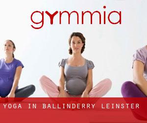 Yoga in Ballinderry (Leinster)