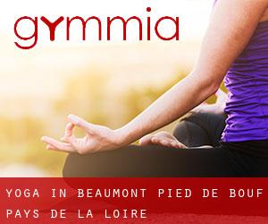 Yoga in Beaumont-Pied-de-Bœuf (Pays de la Loire)