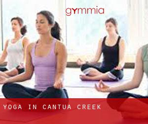 Yoga in Cantua Creek